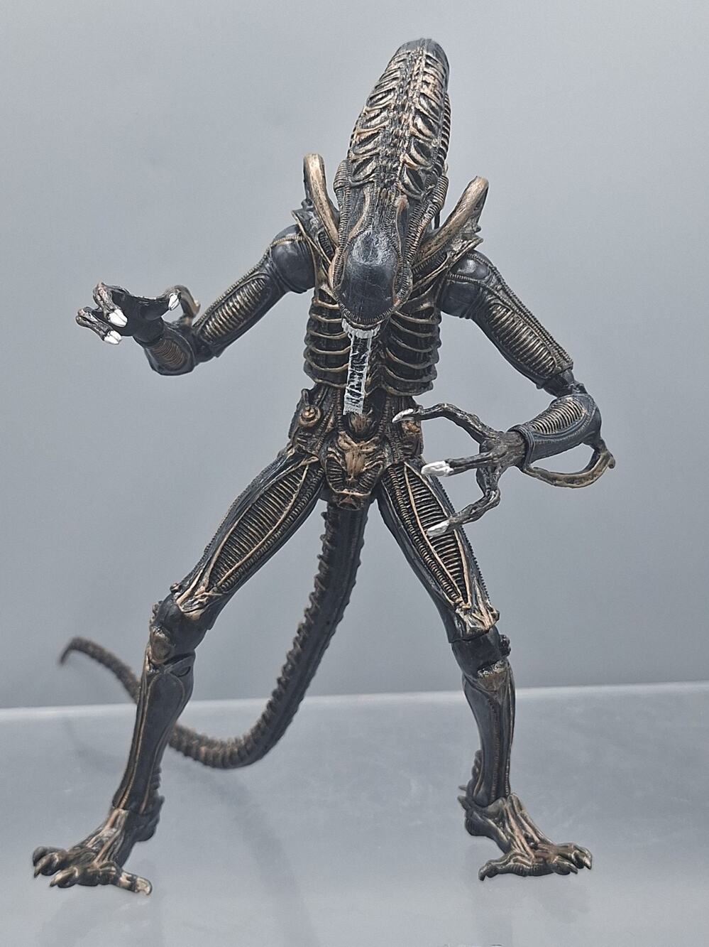 NECA~ALIENS SERIES 1~ALIEN VS PREDATOR~XENOMORPH WARRIOR~BROWN GOLD FIGURE